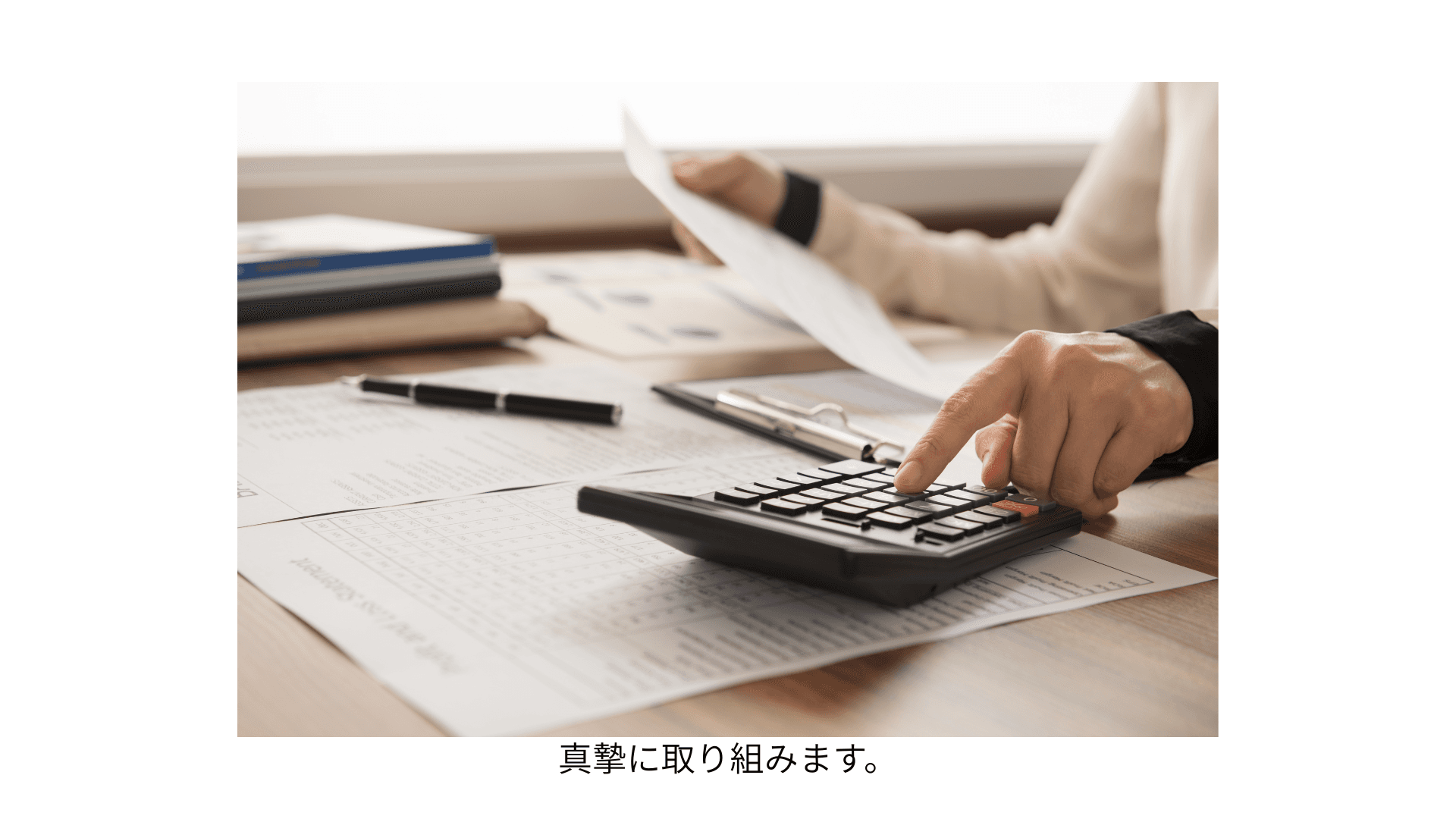 Accounting Professional